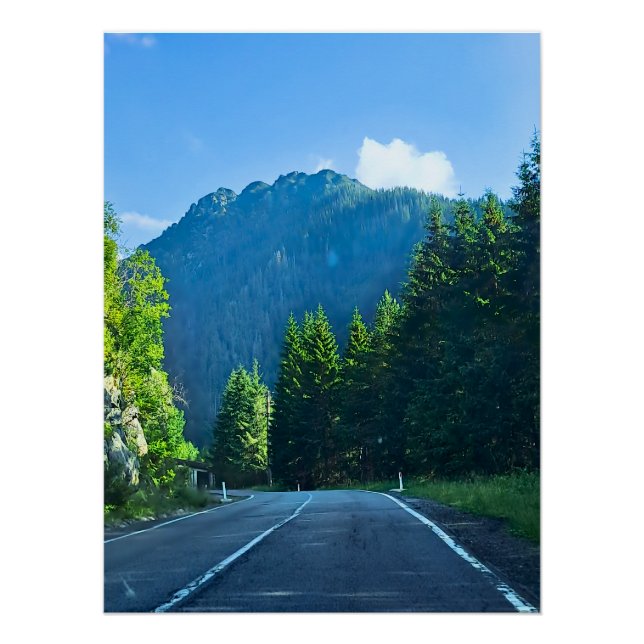 Carpathian Forest Road – Romania Mountain Print (Front)