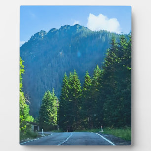 Carpathian Forest Road – Romania Mountain Print Plaque
