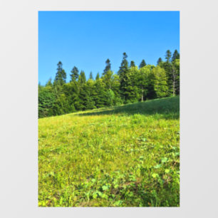 Carpathian Green Meadow – Romania Mountain Print