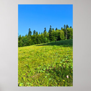 Carpathian Green Meadow – Romania Mountain Print