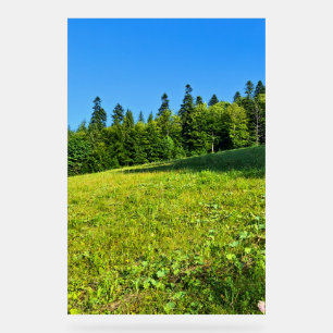 Carpathian Green Meadow – Romania Mountain Print Acrylic Sign
