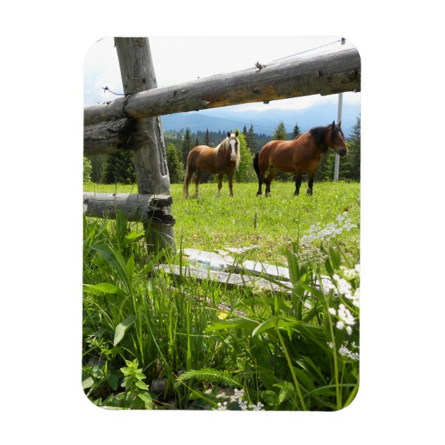 Carpathian Mountains - Ukraine Magnet (Vertical)