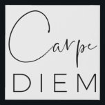 CARPE DIEM | Black Hand Lettered Script Typography Faux Canvas Print<br><div class="desc">Sieze the day! This is it! Make your life extraordinary! Black and white faux canvas wall print with "Carpe Diem" in two fonts: a gorgeous,  sexy hand-lettered script calligraphy typography,  and a beautiful,  light,  elegant sans serif. Stylish. Modern. Gorgeous!</div>