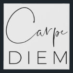 CARPE DIEM | Black Hand Lettered Script Typography Faux Canvas Print<br><div class="desc">Sieze the day! This is it! Make your life extraordinary! Black and white faux canvas wall print with "Carpe Diem" in two fonts: a gorgeous,  sexy hand-lettered script calligraphy typography,  and a beautiful,  light,  elegant sans serif. Stylish. Modern. Gorgeous!</div>
