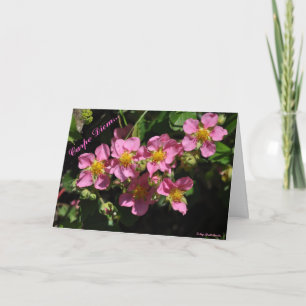 Carpe Diem... Card