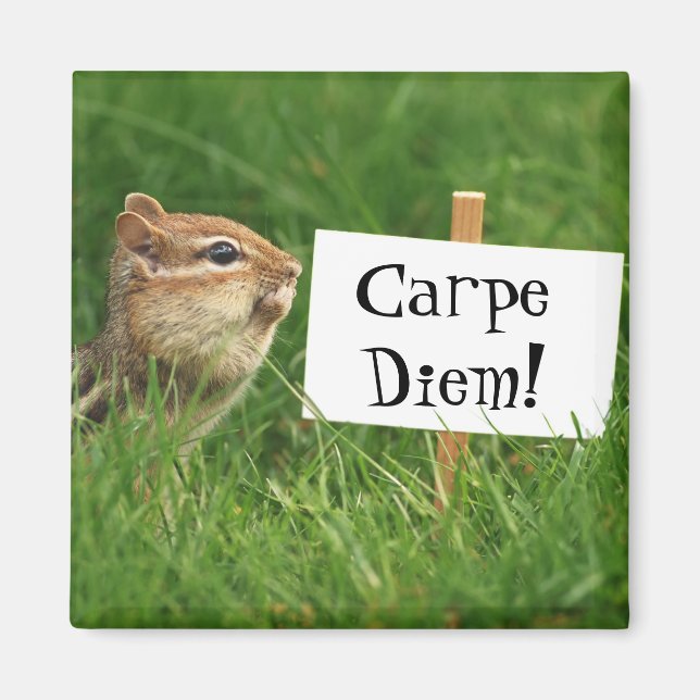 Carpe Diem Chipmunk Magnet (Front)