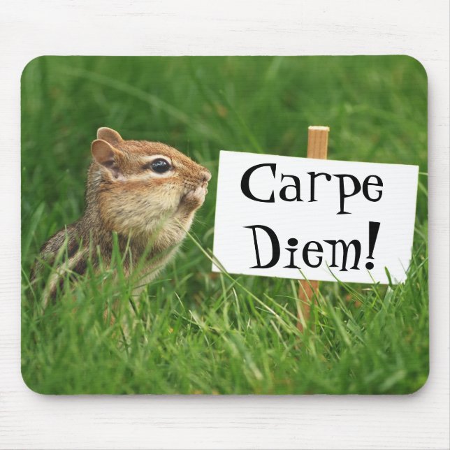 Carpe Diem! Chipmunk with Sign Mouse Pad (Front)