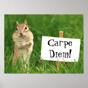 Carpe Diem Chipmunk with Sign Poster