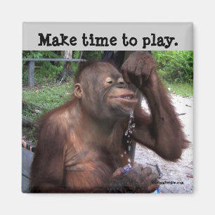 Carpe Diem Cute Wildlife Magnet