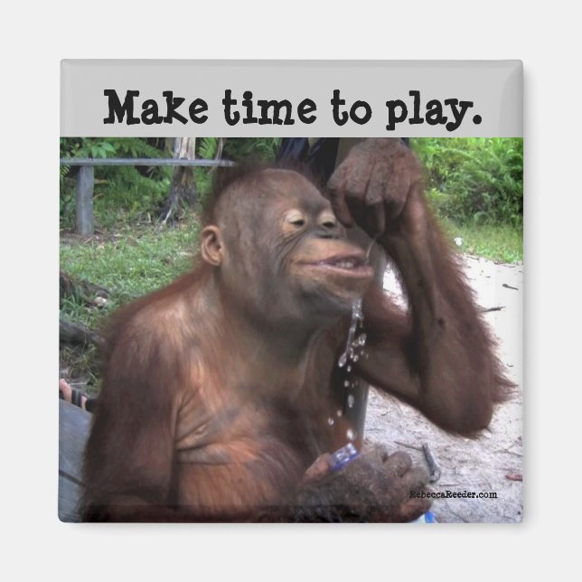 Carpe Diem Cute Wildlife Magnet (Front)