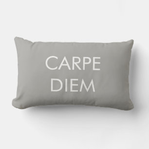 Carpe Diem Grey White Latin Lumbar Cushion