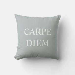 Carpe Diem Latin Quote Cushion - Grey