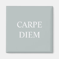 Carpe Diem Latin Quote Magnet