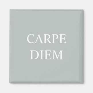 Carpe Diem Latin Quote Magnet