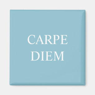 Carpe Diem Latin Quote Magnet - Turquoise