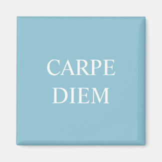 Carpe Diem Latin Quote Magnet - Turquoise