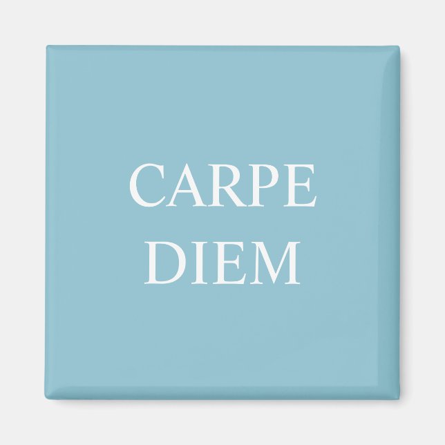 Carpe Diem Latin Quote Magnet - Turquoise (Front)