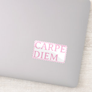Carpe Diem latin quote sticker