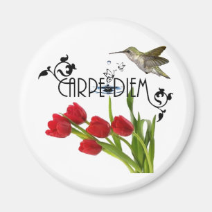 carpe diem magnet