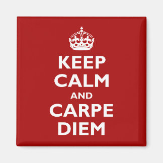 Carpe Diem! Magnet
