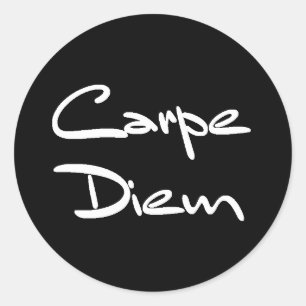 CARPE DIEM Modern Cool Text Classic Round Sticker