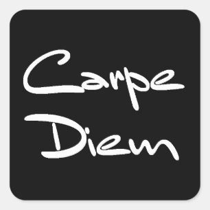 CARPE DIEM Modern Cool Text Square Sticker