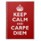 Carpe Diem!