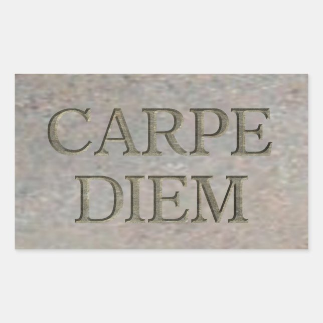 Carpe Diem Stone rectangle stickers (Front)