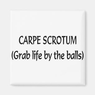 Carpe Scrotum Magnet