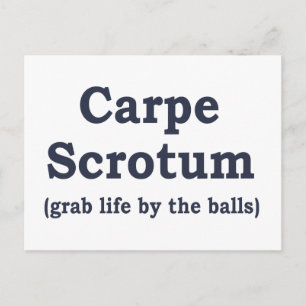 Carpe Scrotum Postcard