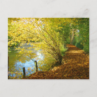 Carpet of Leaves Postcard