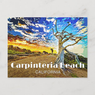 Carpinteria Beach Postcard