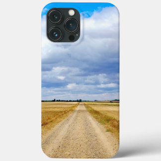 Carretera Boadilla del Camino - Itero de la Vega iPhone 13 Pro Max Case