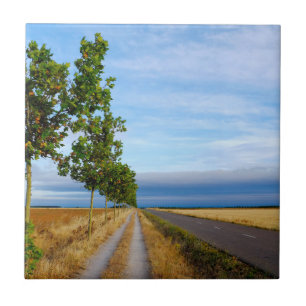 Carretera Hacia Reliegos Ceramic Tile