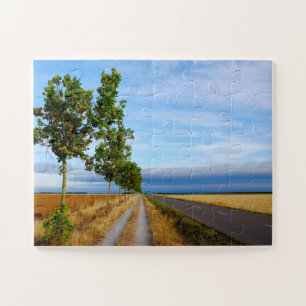 Carretera Hacia Reliegos Jigsaw Puzzle