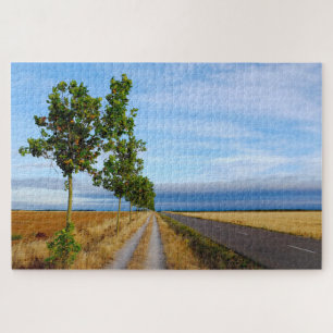 Carretera Hacia Reliegos Jigsaw Puzzle