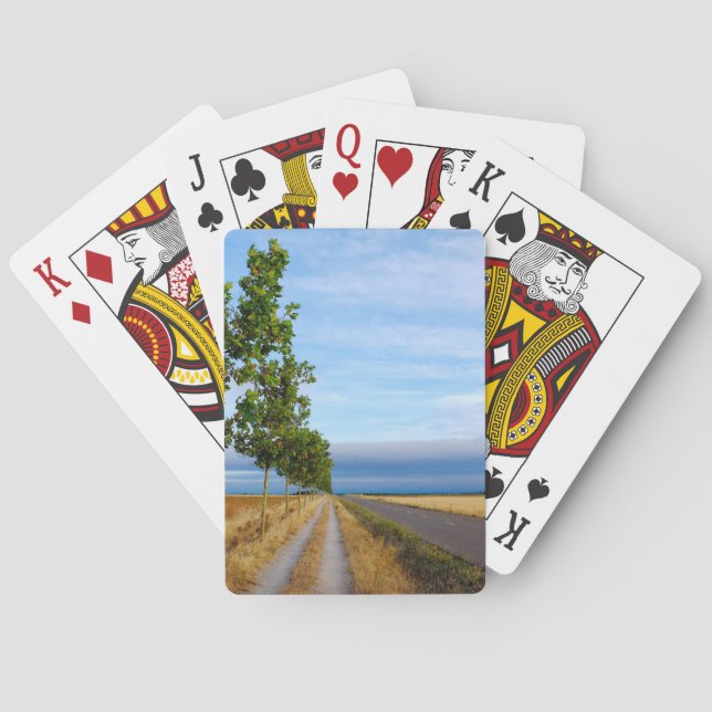 Carretera Hacia Reliegos Playing Cards (Back)