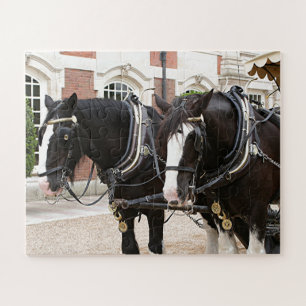 Carriage draught horses jigsaw puzzle