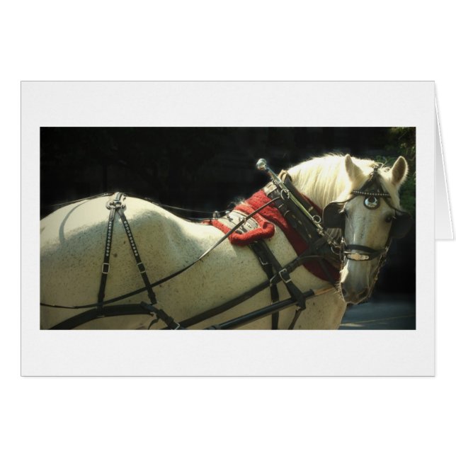 Carriage Horse (Front Horizontal)