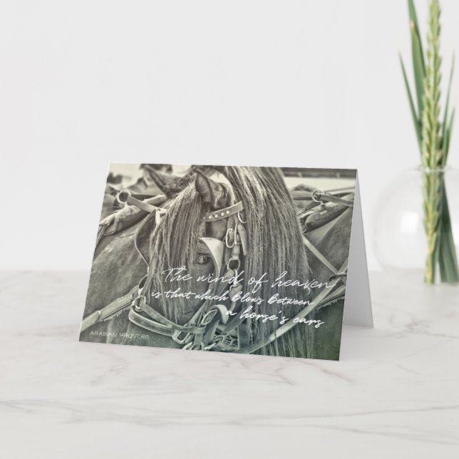 CARRIAGE HORSE Greeting Card (Front)