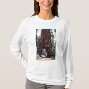 Carriage Travelling Under a Giant Redwood T-Shirt