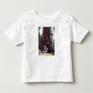 Carriage Travelling Under a Giant Redwood Toddler T-Shirt
