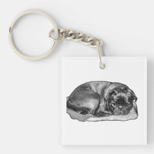 Carried in Quiet Key Ring