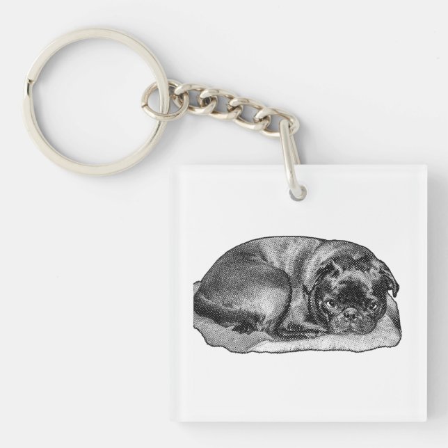 Carried in Quiet Key Ring (Front)