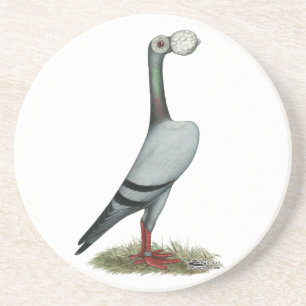 Carrier Pigeon 2012 Coaster
