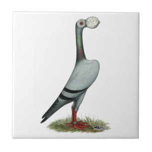 Carrier Pigeon 2012 Tile