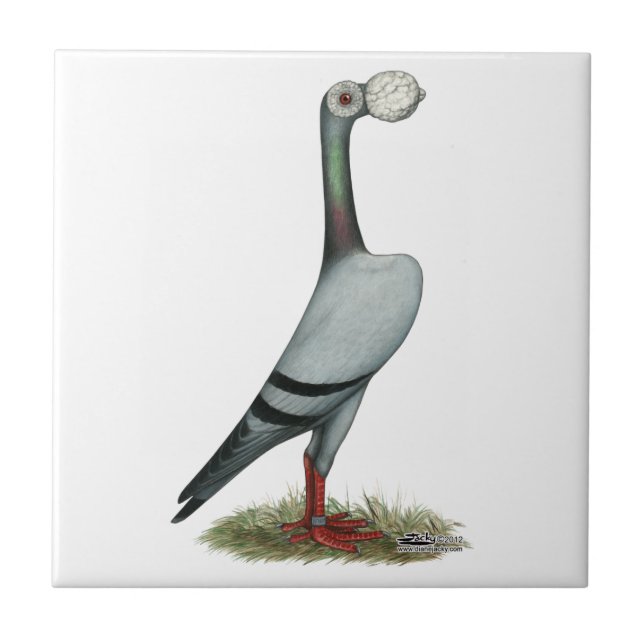 Carrier Pigeon 2012 Tile (Front)