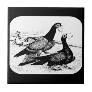 Carrier Pigeons Loft Scene 1980 Ceramic Tile
