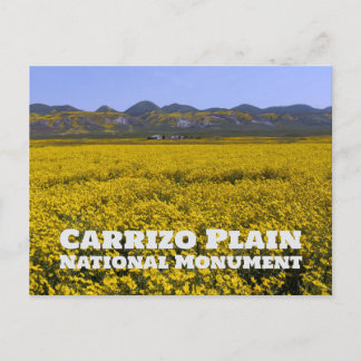 Carrizo Plain National Monument Postcard
