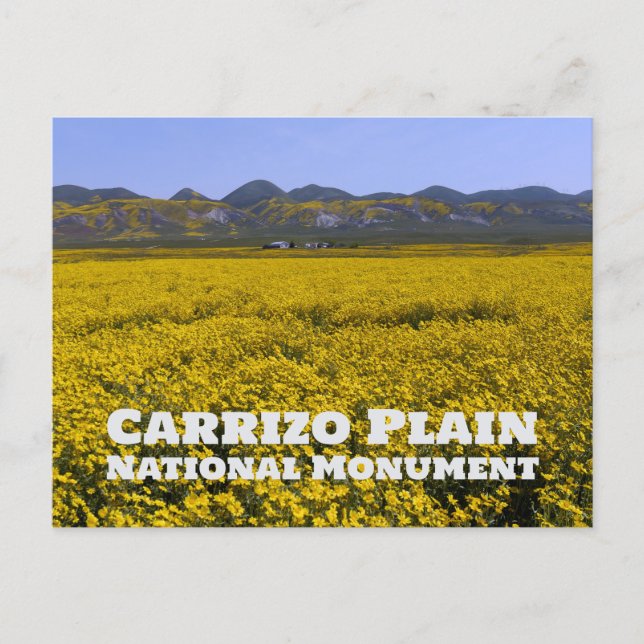 Carrizo Plain National Monument Postcard (Front)